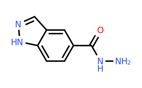 CAS 1005205-25-3 | 1H-Indazole-5-carboxylic acid hydrazide