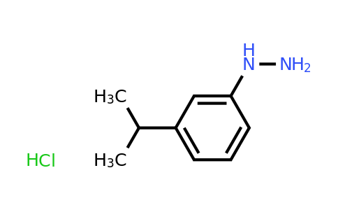 CAS 1030288-67-5 | (3-Isopropyl-phenyl)-hydrazine hydrochloride