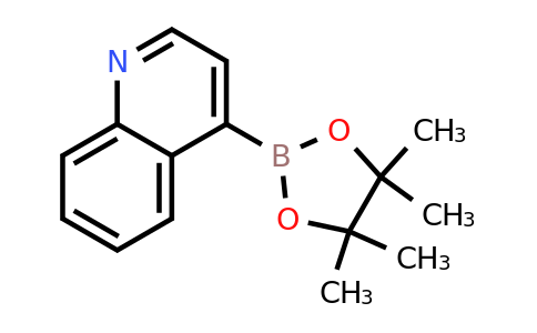 CAS 1035458-54-8 | Quinoline-4-boronic acid pinacol ester