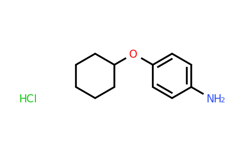 CAS 105971-50-4 | 4-Cyclohexyloxy-phenylamine hydrochloride