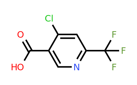 CAS 1060810-66-3 | 4-Chloro-6-(trifluoromethyl)nicotinic acid