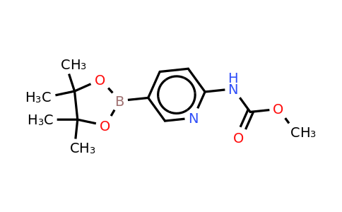 CAS 1073372-02-7 | 2-Methoxycarbonylaminopyridine-5-boronic acid, pinacol ester