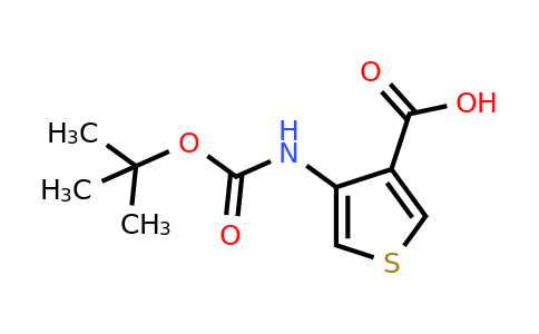 CAS 108180-63-8 | 4-tert-Butoxycarbonylamino-thiophene-3-carboxylic acid