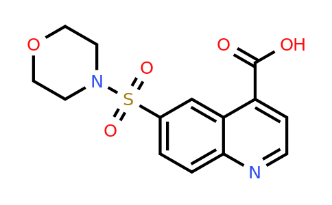 CAS 1086393-16-9 | 6-(Morpholine-4-sulfonyl)-quinoline-4-carboxylic acid