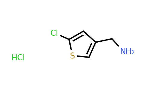 CAS 1108712-55-5 | 5-Chloro-3-thiophenemethanamine hydrochloride