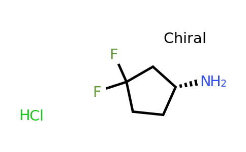 CAS 1117936-64-7 | (1R)-3,3-difluorocyclopentan-1-amine hydrochloride
