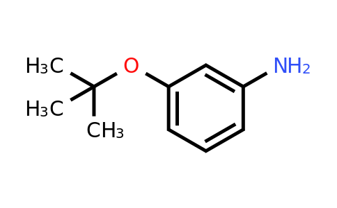CAS 1123169-58-3 | 3-tert-Butoxy-phenylamine