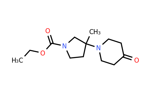 CAS 1131451-64-3 | ethyl 3-methyl-3-(4-oxopiperidin-1-yl)pyrrolidine-1-carboxylate