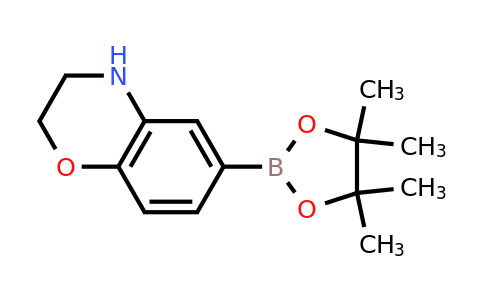 CAS 1155264-46-2 | 3,4-Dihydro-2H-benzo[1,4]oxazine-6-boronic acid pinacol ester