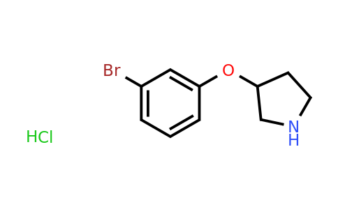 CAS 1185298-69-4 | 3-(3-Bromo-phenoxy)-pyrrolidine hydrochloride