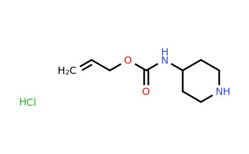 CAS 1187927-76-9 | Piperidin-4-yl-carbamic acid allyl ester hydrochloride