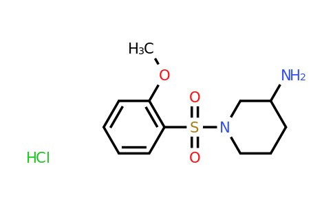CAS 1187927-79-2 | 1-(2-Methoxy-benzenesulfonyl)-piperidin-3-ylamine hydrochloride