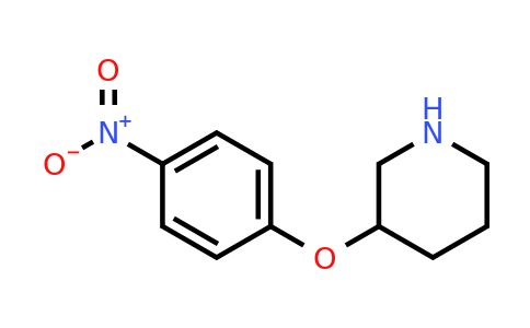 CAS 1187927-81-6 | 3-(4-Nitro-phenoxy)-piperidine