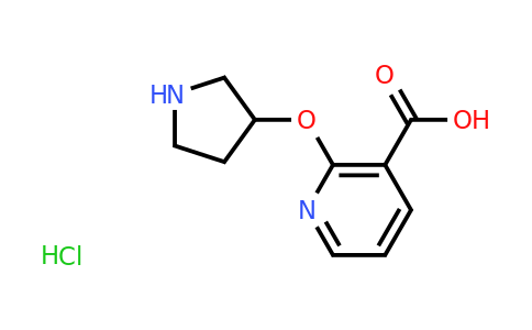 CAS 1187929-94-7 | 2-(Pyrrolidin-3-yloxy)-nicotinic acid hydrochloride