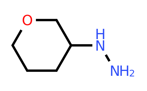 CAS 1189771-98-9 | oxan‐3‐ylhydrazine