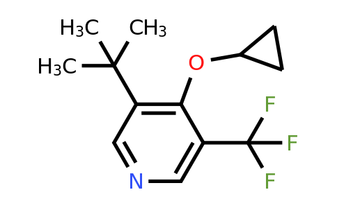 CAS 1243283-27-3 | 3-Tert-butyl-4-cyclopropoxy-5-(trifluoromethyl)pyridine