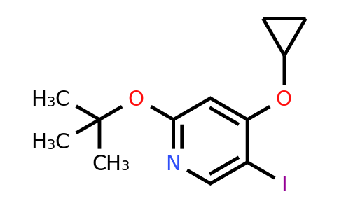 CAS 1243346-62-4 | 2-Tert-butoxy-4-cyclopropoxy-5-iodopyridine