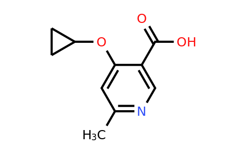 CAS 1243464-99-4 | 4-Cyclopropoxy-6-methylnicotinic acid