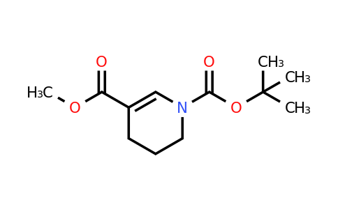 CAS 1293370-64-5 | 1-tert-butyl 3-methyl 1,4,5,6-tetrahydropyridine-1,3-dicarboxylate