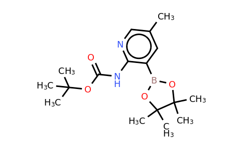 CAS 1310404-52-4 | Boc-2-amino-5-methylpyridine-3-boronic acid pinacol ester