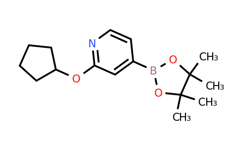 CAS 1346707-97-8 | 2-(Cyclopentoxy)pyridine-4-boronic acid pinacol ester