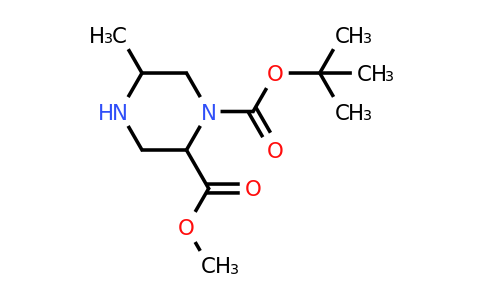CAS 1352719-64-2 | O1-tert-butyl O2-methyl 5-methylpiperazine-1,2-dicarboxylate