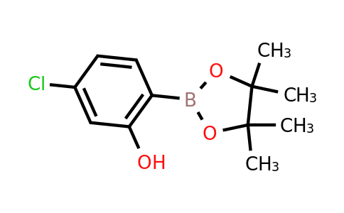 CAS 1377503-12-2 | 5-Chloro-2-(4,4,5,5-tetramethyl-1,3,2-dioxaborolan-2-YL)phenol