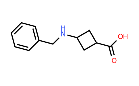 CAS 1382035-25-7 | 3-(benzylamino)cyclobutane-1-carboxylic acid