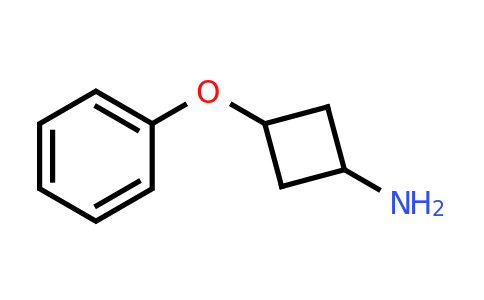CAS 1541520-86-8 | 3-phenoxycyclobutan-1-amine