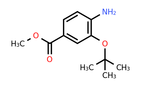 CAS 1558426-55-3 | Methyl 4-amino-3-(tert-butoxy)benzoate