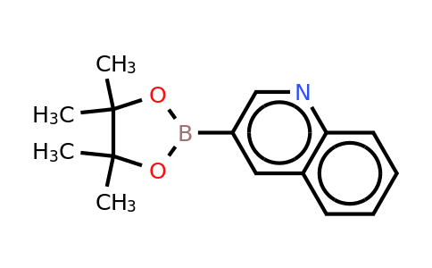 CAS 171364-85-5 | Quinoline-3-boronic acid pinacolate