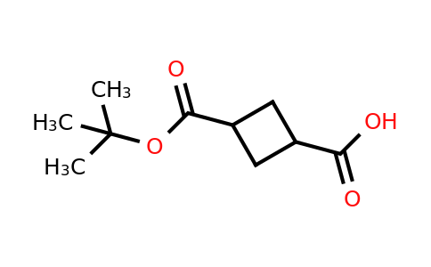 CAS 1824538-52-4 | Cyclobutane-1,3-dicarboxylic acid mono-tert-butyl ester