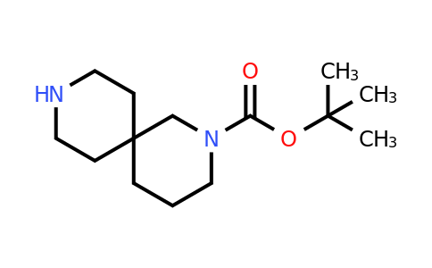 CAS 189333-03-7 | tert-butyl 2,9-diazaspiro[5.5]undecane-2-carboxylate