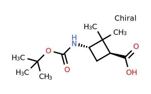 CAS 1932314-03-8 | (1S,3S)-3-(tert-butoxycarbonylamino)-2,2-dimethylcyclobutanecarboxylic acid