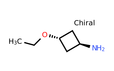 CAS 20036-58-2 | trans-3-ethoxycyclobutan-1-amine