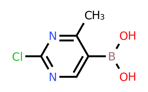 CAS 2225155-62-2 | 2-Chloro-4-methylpyrimidine-5-boronic acid