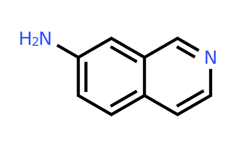 CAS 23707-37-1 | 7-Aminoisoquinoline