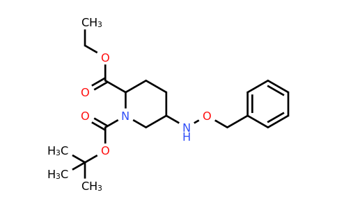 CAS 2385079-46-7 | O1-tert-butyl O2-ethyl 5-(benzyloxyamino)piperidine-1,2-dicarboxylate