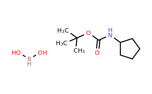 CAS 2408428-28-2 | 3-tert-butoxycarbonylamino cyclopentane boronic acid