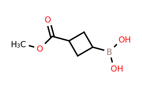 CAS 2408430-00-0 | 3-Methoxycarbonyl-cyclobutane-boronic acid