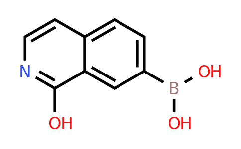 CAS 2408430-06-6 | 1-Hydroxyisoquinoline-7-boronic acid
