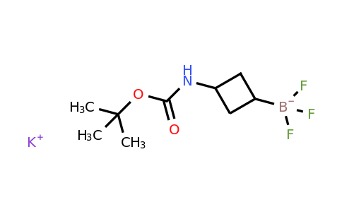 CAS 2415072-80-7 | potassium;[3-(tert-butoxycarbonylamino)cyclobutyl]-trifluoro-boranuide