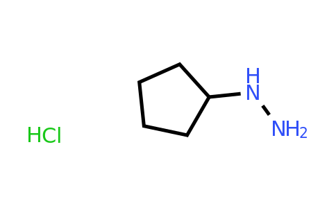 CAS 24214-72-0 | Cyclopentyl-hydrazine hydrochloride