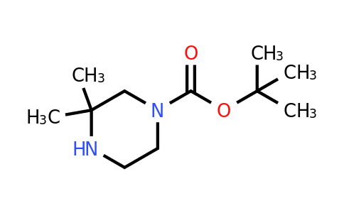 CAS 259808-67-8 | tert-butyl 3,3-dimethylpiperazine-1-carboxylate