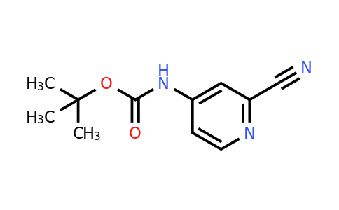 CAS 262295-94-3 | (2-Cyano-pyridin-4-yl)-carbamic acid tert-butyl ester