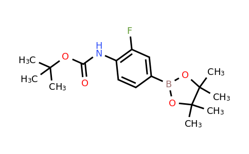 CAS 262444-42-8 | N-Boc-4-amino-3-fluoro-benzeneboronic acid pinacol ester
