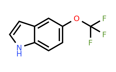 CAS 262593-63-5 | 5-Trifluoromethoxy-1H-indole