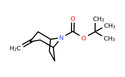CAS 273207-57-1 | 3-methylene-8-boc-8-azabicyclo[3.2.1]octane