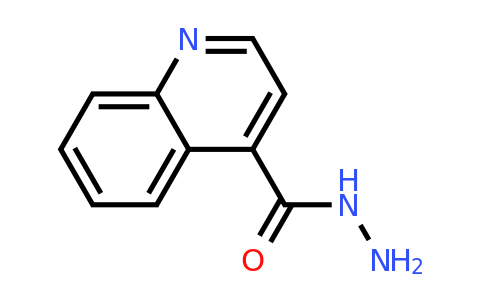 CAS 29620-62-0 | Quinoline-4-carboxylic acid hydrazide
