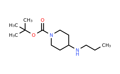 CAS 301225-58-1 | 4-Propylamino-piperidine-1-carboxylic acid tert-butyl ester